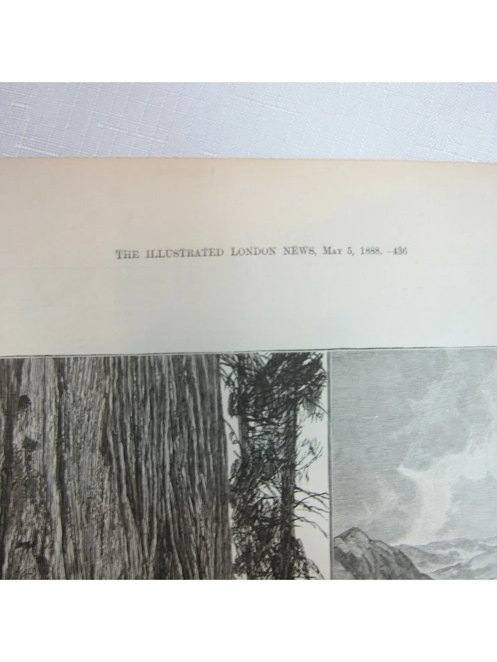 Antique 1888 Print Californian Sketches Mammoth Trees Rocks and Mountain Scenery